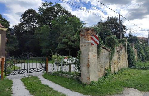 Mieszkanie w Oficynie Pałacu Goetza BRZESKO - Photo 6