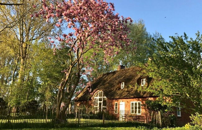 Warft Simmerdeis 2 Comfortable Holiday Residence - Foto 21