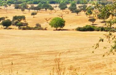 Sharish - Monte Das Estevas - Foto 20