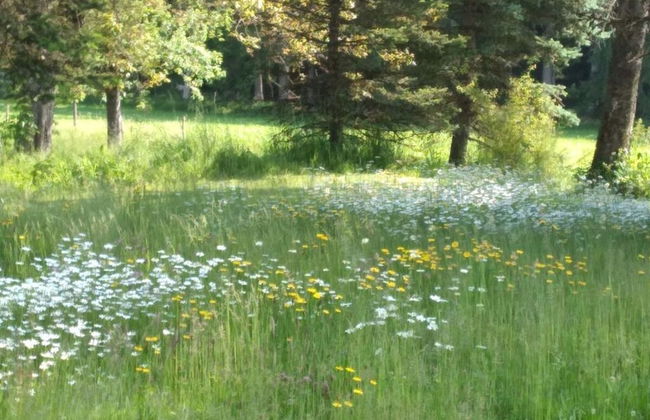 Appealing Apartment Near Lake - Foto 12