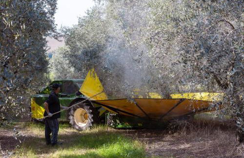 DEL CARMINE AGRIRESORT- ex a3passi - Foto 118