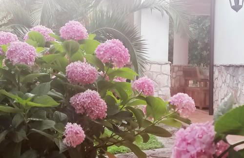 Casa Marisa Villa Vacanza - Foto 45