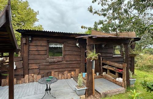 Cabin centrally Located in the Cornish Countryside - Foto 44