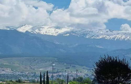 Rosa Apartman - Foto 34