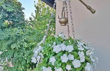 Stirida Stone House - Foto 37