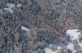 Masot del Sole - Foto 29