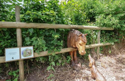 The Shippon - Foto 40