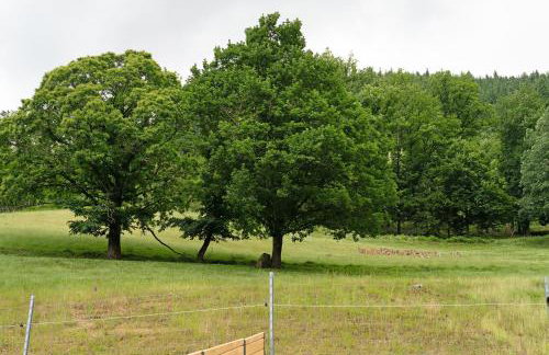 Ferienhof Huber - Photo 10
