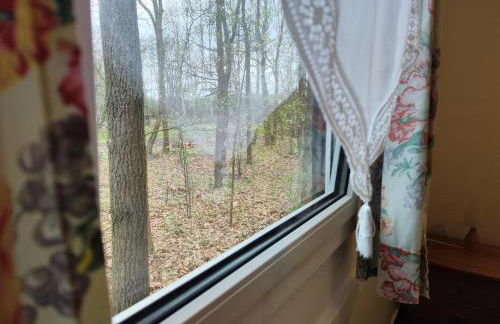 Kleine Freiheit Nummer 3 - Foto 27