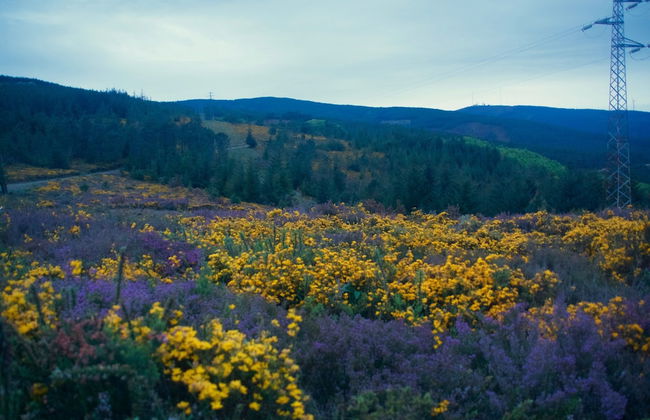 Portantiqua Guest House - Foto 19