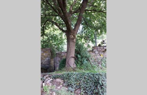 Eine gemütliche Ferienwohnung mit Garten - Foto 21