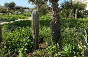 Lady Marzamemi - Foto 16