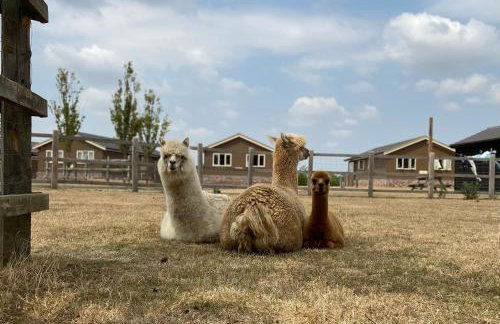 Waterside Lodges Cambridge - Foto 6