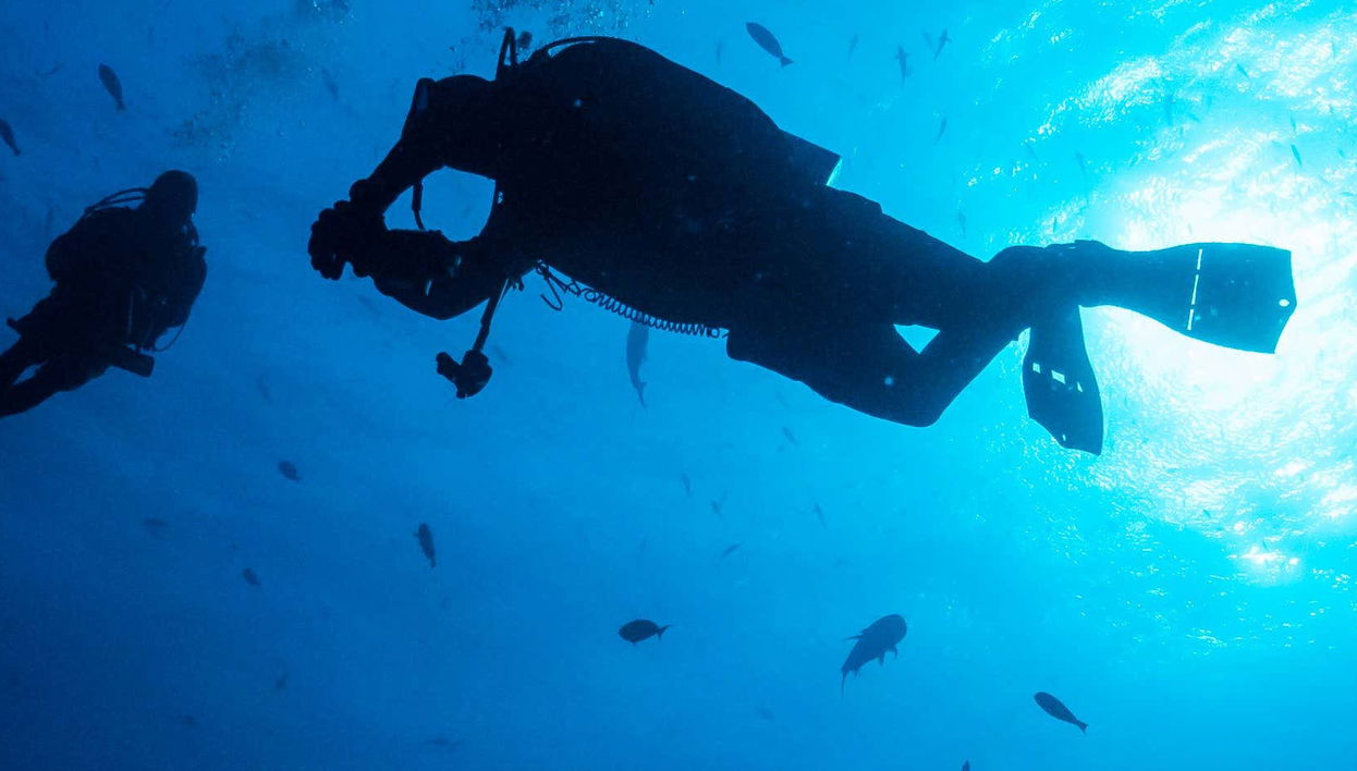 Scuba Diving on Isla del Caño - Foto 1