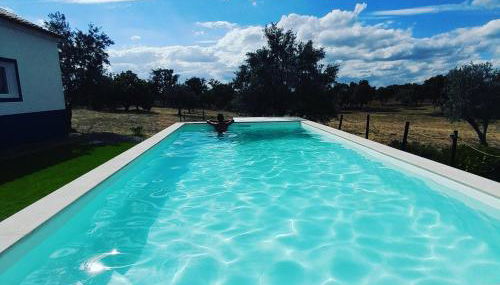 Monte do Rochinha - Foto 4