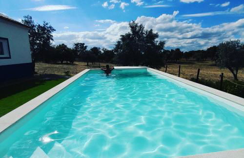 Monte do Rochinha - Foto 4