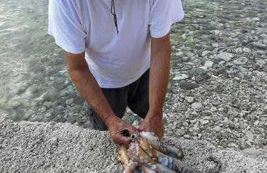 Apartment Dragas - Foto 6