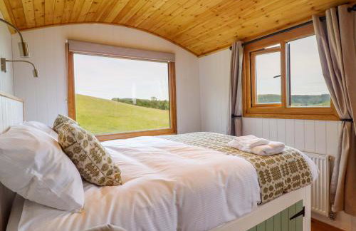 Defaid Cymreig - Foto 13