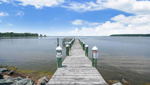 The Birds Nest - Photo 5