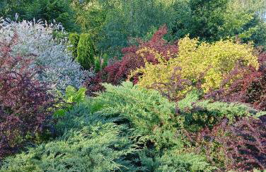 Wycinki domek - Foto 9