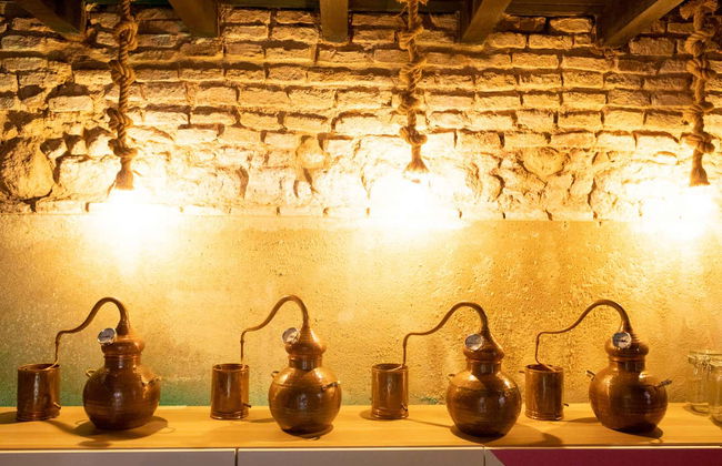 Visite de la distillerie Puerto de Indias - Photo 4