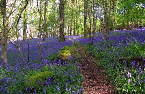 Silhouette Cottage - Foto 29