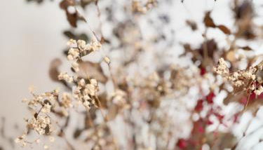 Chez Marc, avec vue verdoyante et parking privé - Foto 2