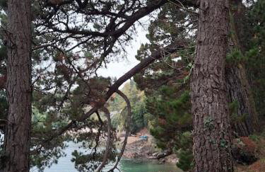 Villa de la Mer - Foto 49