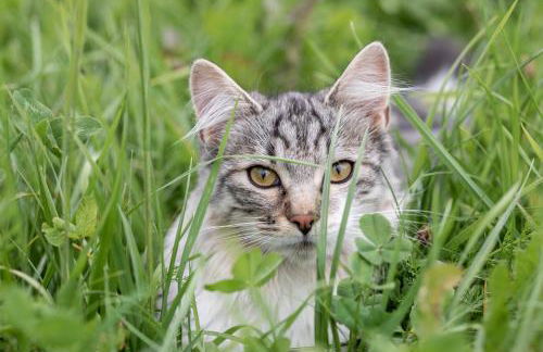 Loefflerhof - Photo 17