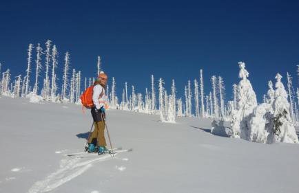 Wildnisresidenz am Nationalpark - Foto 45