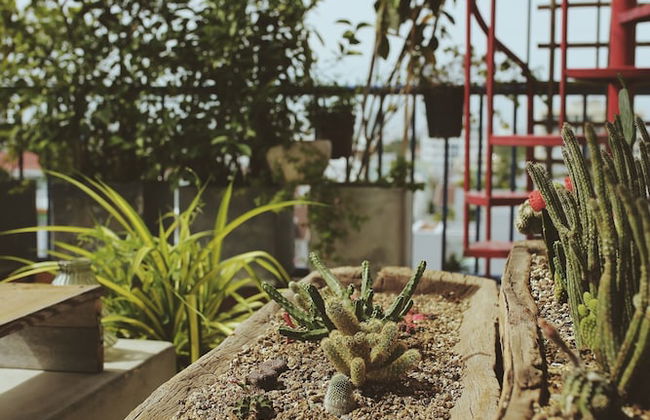 La Maison Des Delices - Foto 60