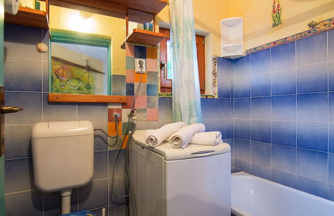 Victorious VIScovery Yellow - Foto 33