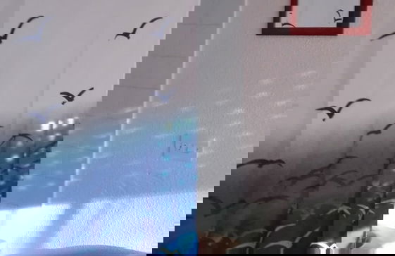 Apartamentos Guardamar del Segura - Foto 4