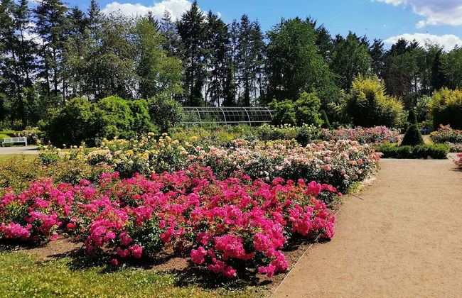 Hotel-Pension zum Hirsch - Foto 52