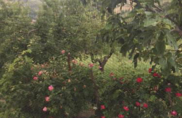 La casa nel verde - Photo 13