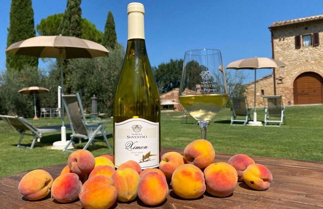 Tenuta Sovestro - Agriturismo e Winery - Foto 43