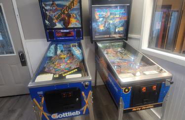 Breathtaking Lake View! Hot Tub! Concerts! - Foto 9