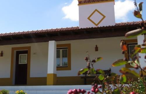 Monte do Brejinho de Água - Foto 33