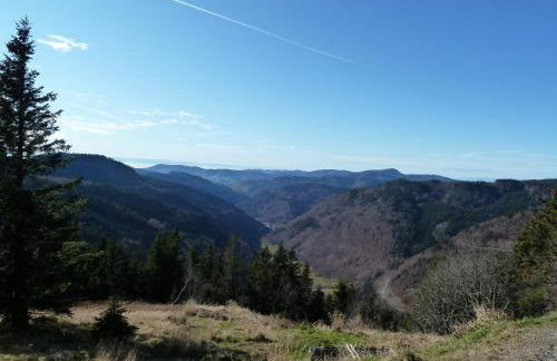 Haus am Rotwiesenbach - Foto 40