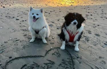 Goarges Tiny Home! - Foto 16