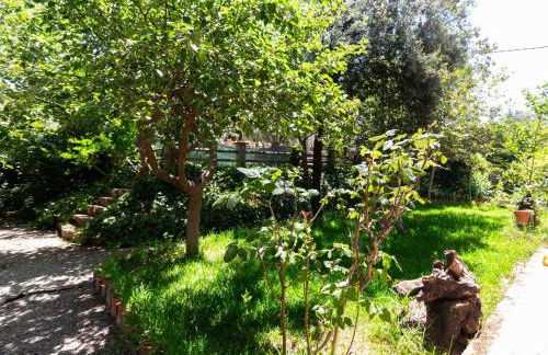 Viña Chica - Foto 9