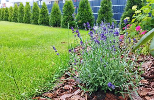 Apartament z ogrodem Camelia - Foto 27