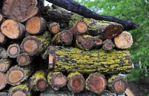 Fattoria Agriturismo Nerbona - Foto 96