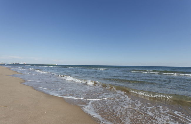 Brezo in Oliva With 2 Bedrooms and 2 Bathrooms - Foto 32