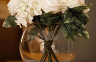 Larroque Haute Gites - Foto 24