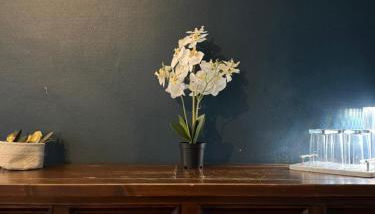 Studio Chic de la Rochelle, Proche Commerces - Foto 2