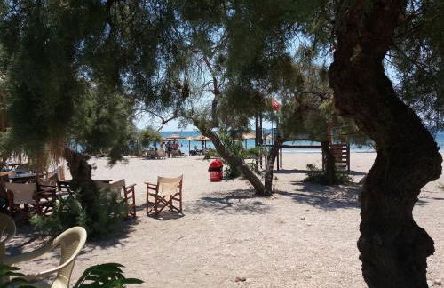 Painter's house by the beach - Foto 54