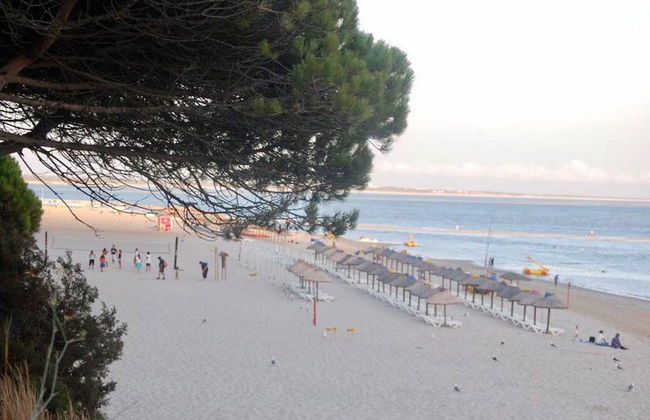 Villa Of Cedars Spirit, Garden Pool - Foto 47