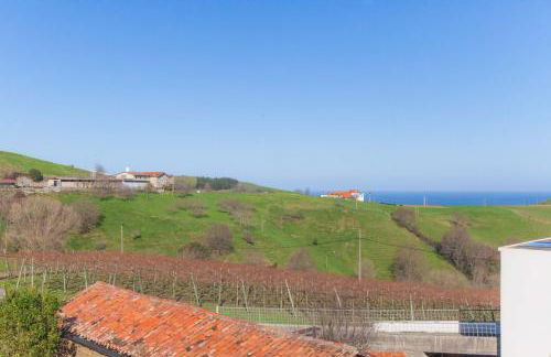 Endaneta Berri - Photo 39