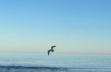 Casa Amarela Guesthouse, Algorfa - Foto 41